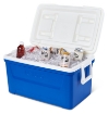 Picture of Igloo Laguna 48 (45 liters) Blue