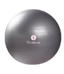 Picture of Fitness Ball - Ø65 Sveltus Grey