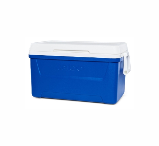 Picture of Igloo Laguna 48 (45 liters) Blue