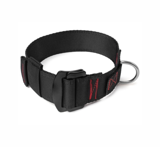 Picture of Training Belt - TeamSports