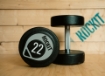 Picture of Set of 2 Round Dumbbells 22Kg - ROCKIT