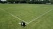 Picture of Field Delimitation Set 75m - TEAMSPORTS