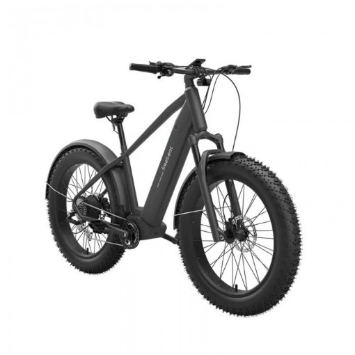 Picture of Electric Bicycle MorphRover